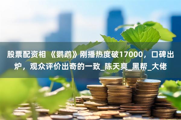 股票配资相 《鹦鹉》刚播热度破17000，口碑出炉，观众评价出奇的一致_陈天爽_黑帮_大佬